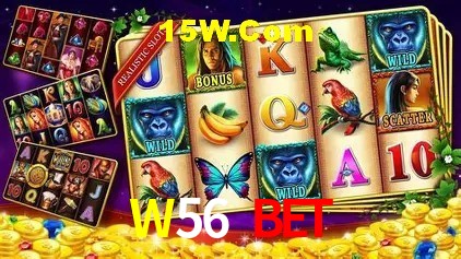 Segurança e performance na plataforma W56 Bet